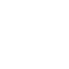 Pause icon